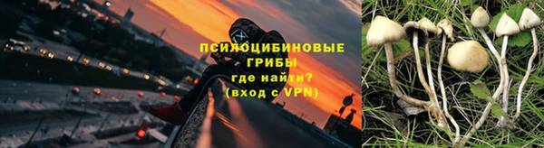 первитин Горнозаводск