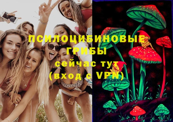 винт Горняк