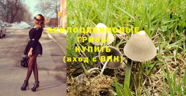 винт Горняк